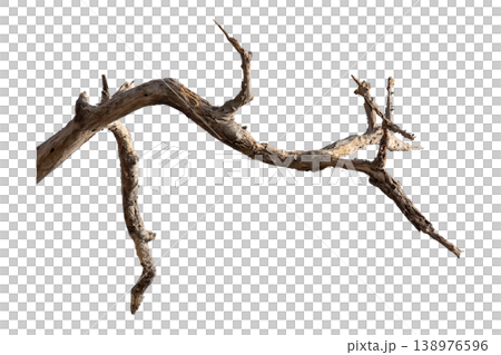 Dry branches isolated on a transparent background. Dry branches isolated on a transparent background. 138976596