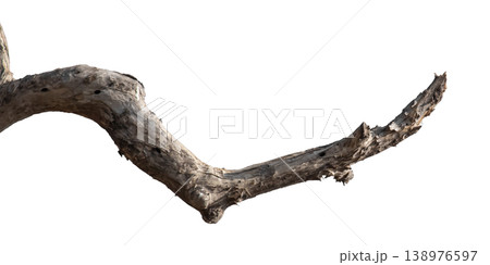 Dry branches isolated on a transparent background. Dry branches isolated on a transparent background. 138976597