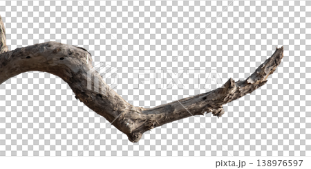 Dry branches isolated on a transparent background. Dry branches isolated on a transparent background. 138976597