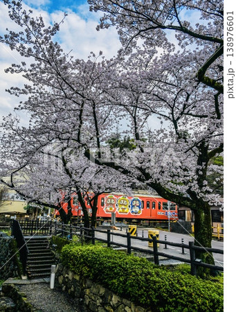 桜の中を走る　近江鉄道　近江八幡行き始発 138976601