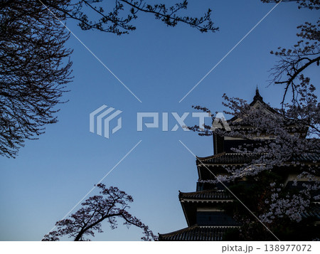 桜に包まれる国宝松本城 桜に包まれる国宝松本城 138977072