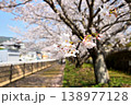 桜、サクラ、さくら 138977128