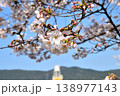 桜、サクラ、さくら 138977143
