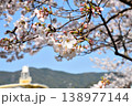 桜、サクラ、さくら 138977144