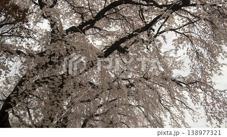 Seoul National Cemetery 138977321