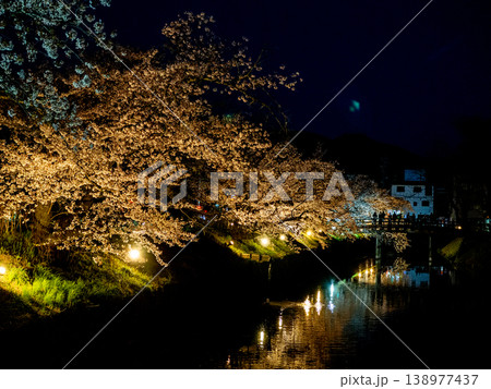 ライトアップされた夜桜 ライトアップされた夜桜 138977437
