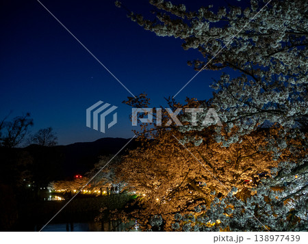 ライトアップされた夜桜 ライトアップされた夜桜 138977439