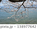 桜と湖面 138977642