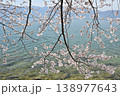 桜と湖面 138977643