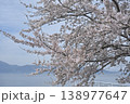 桜満開 138977647