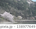 漁村の桜 138977649