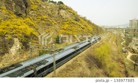 Eungbongsan Mountain Forsythia 138977885