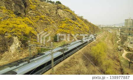Eungbongsan Mountain Forsythia 138977887