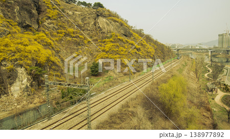 Eungbongsan Mountain Forsythia 138977892
