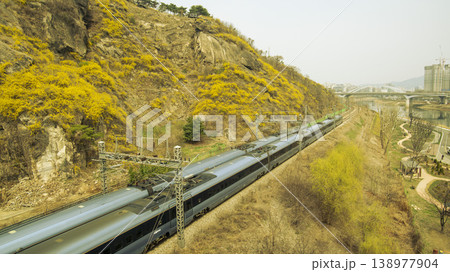 Eungbongsan Mountain Forsythia 138977904