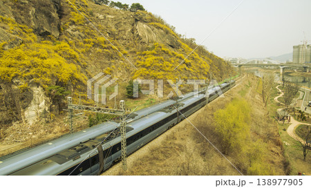 Eungbongsan Mountain Forsythia 138977905