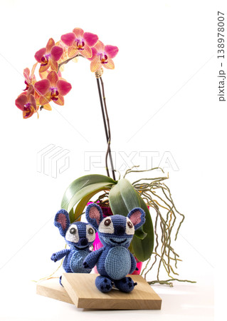 Knitted wool aliens next to a potted orchid Knitted wool aliens next to a potted orchid 138978007