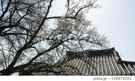 Suncheon Seonamsa Temple Suncheon Seonamsa Temple 138978101