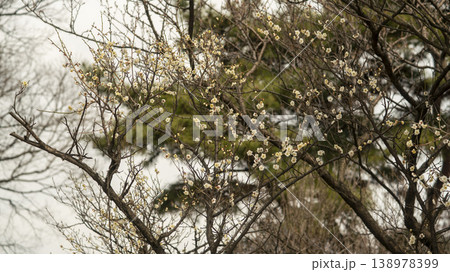 Ansan Hwarang Park Ansan Hwarang Park 138978399
