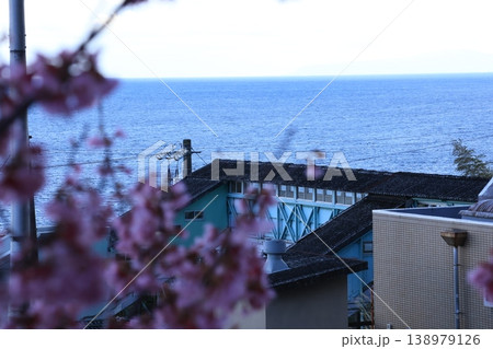 小田原市の根府川駅とおかめ桜と海のある風景 小田原市の根府川駅とおかめ桜と海のある風景 138979126