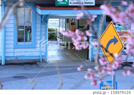 小田原市の根府川駅とおかめ桜と海のある風景 138979129
