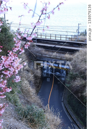 小田原市の根府川駅とおかめ桜と海のある風景 小田原市の根府川駅とおかめ桜と海のある風景 138979136