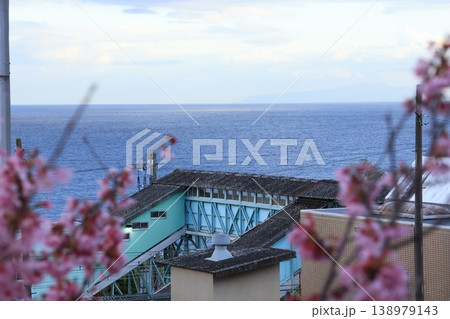 小田原市の根府川駅とおかめ桜と海のある風景 小田原市の根府川駅とおかめ桜と海のある風景 138979143