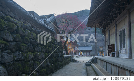 Hwaeomsa Temple red plum blossoms Hwaeomsa Temple red plum blossoms 138979182
