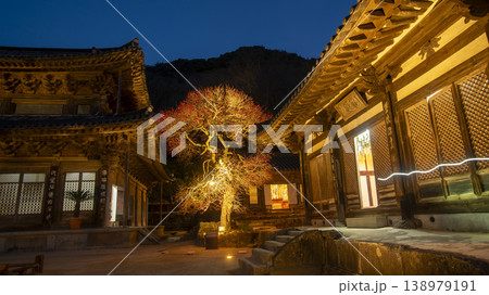 Hwaeomsa Temple red plum blossoms Hwaeomsa Temple red plum blossoms 138979191