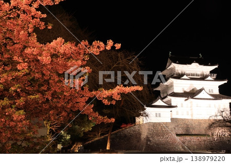 小田原城周辺の春の夜景 138979220