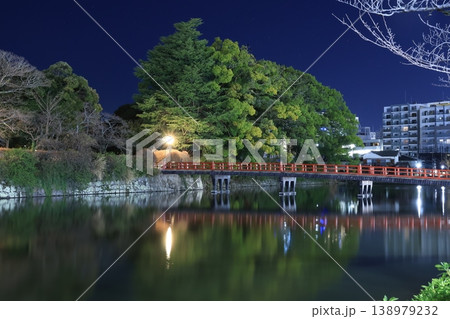 小田原城周辺の春の夜景 小田原城周辺の春の夜景 138979232