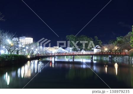 小田原城周辺の春の夜景 小田原城周辺の春の夜景 138979235