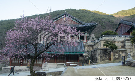 Hwaeomsa Temple  138979252