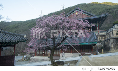 Hwaeomsa Temple  138979253