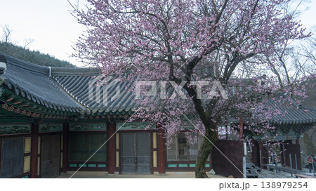 Hwaeomsa Temple  138979254