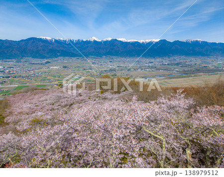 【ドローン撮影】光城山の桜と北アルプスと安曇野の街並み【長野県】 【ドローン撮影】光城山の桜と北アルプスと安曇野の街並み【長野県】 138979512