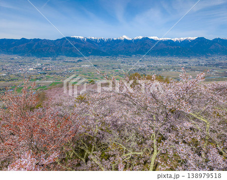 【ドローン撮影】光城山の桜と北アルプスと安曇野の街並み【長野県】 138979518
