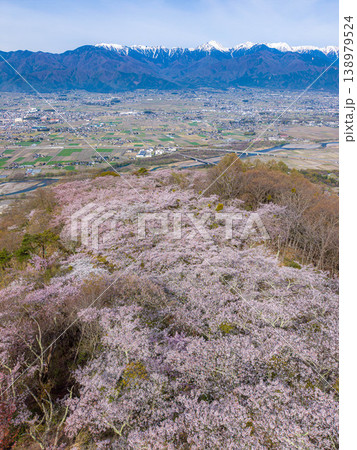 【ドローン撮影】光城山の桜と北アルプスと安曇野の街並み【長野県】 138979524