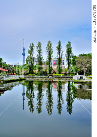東京都 猿江恩賜公園 貯木場と東京スカイツリー 東京都 猿江恩賜公園 貯木場と東京スカイツリー 138979709