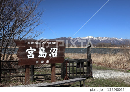 日本最北のマガン寄留地 北海道 宮島沼 4月 日本最北のマガン寄留地 北海道 宮島沼 4月 138980624