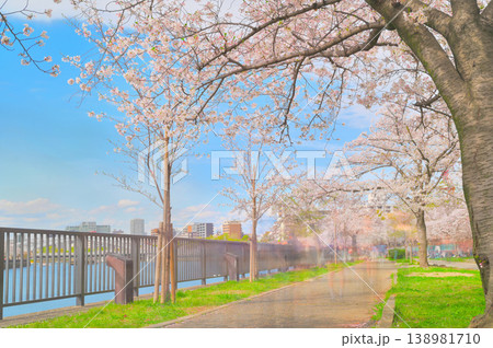 桜並木の河川敷 桜並木の河川敷 138981710