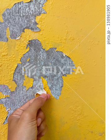 Person hand peels flaky yellow paint off a rough grey concrete wall. Shows peeling texture. Useful for home renovation and building maintenance theme Person hand peels flaky yellow paint off a rough grey concrete wall. Shows peeling texture. Useful for home renovation and building maintenance theme 138981905