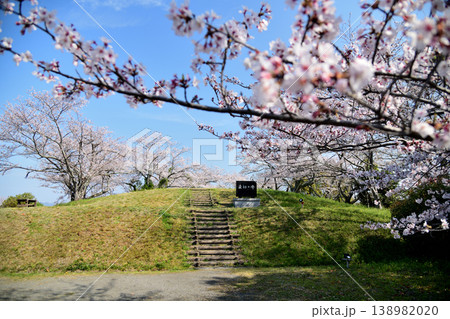 百合山(最初ヶ峰)山頂　【和歌山県紀の川市】 138982020