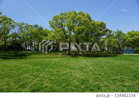 春の新緑公園 138982138