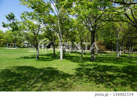 春の新緑公園 春の新緑公園 138982154