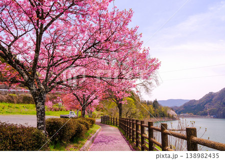 河津桜と赤谷湖 河津桜と赤谷湖 138982435