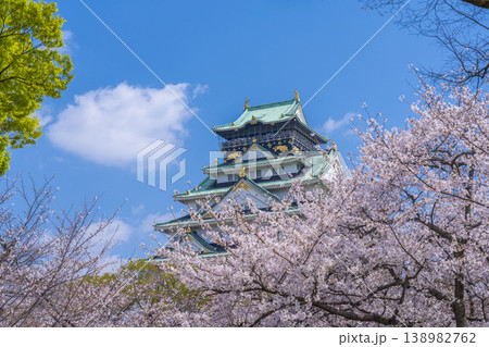 大阪城天守閣　満開の桜 138982762