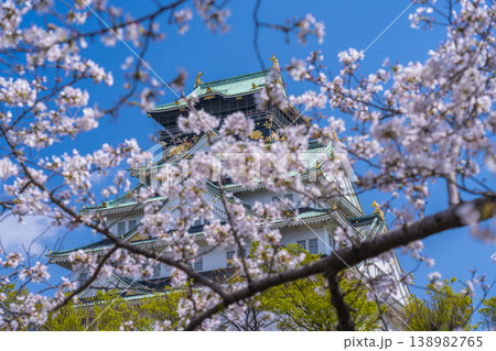 大阪城天守閣　満開の桜 138982765