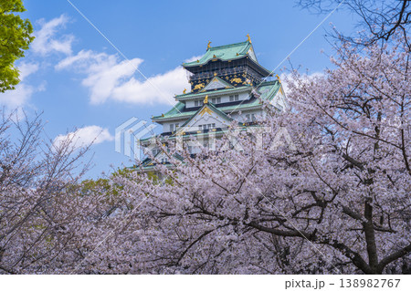 大阪城天守閣　満開の桜 138982767