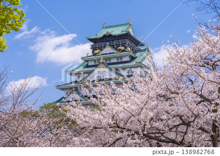大阪城天守閣　満開の桜 138982768